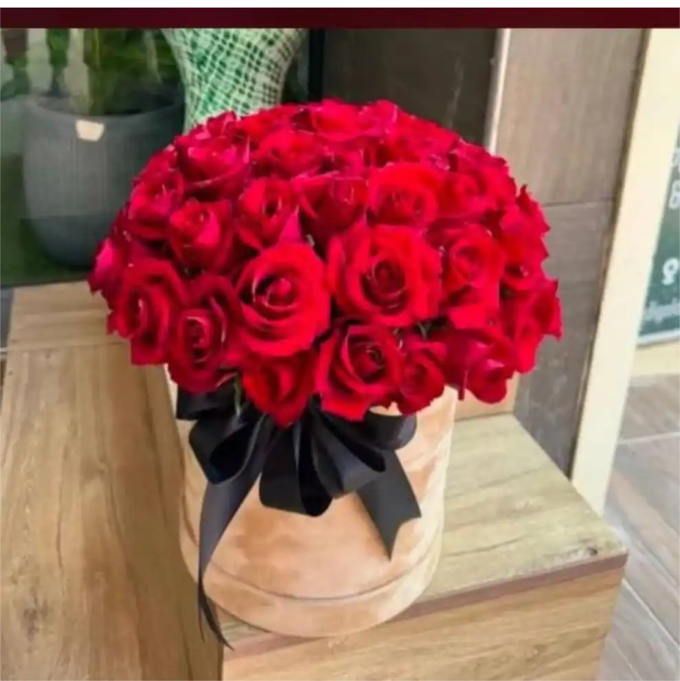 Boxed Red Roses and  Green Foilage (M)