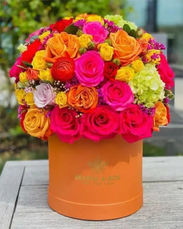 Boxed Colourful Flowers (Mixed)